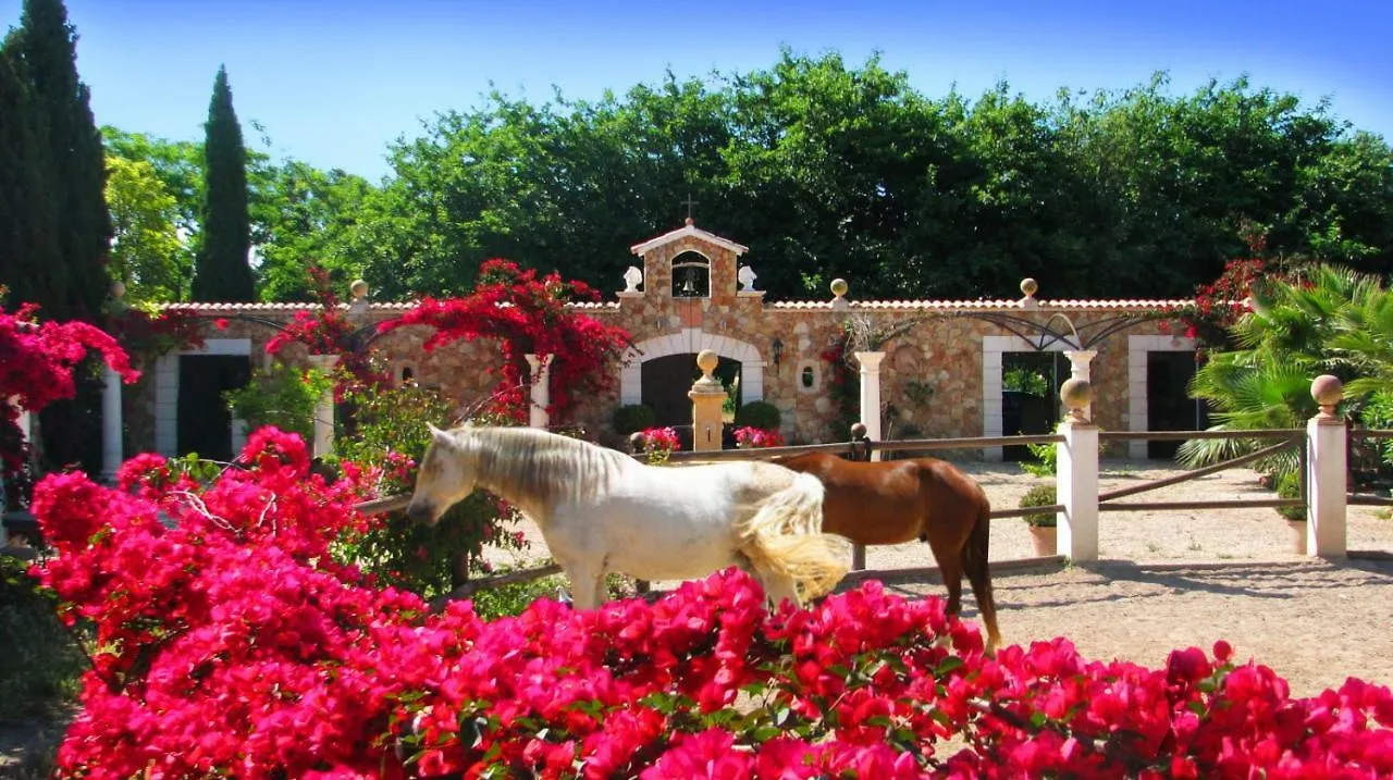 Holiday home Finca Santa Lucia Villa Binissalem