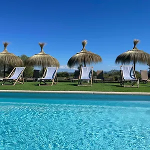 Farm stay Dalt Murada, Binissalem
